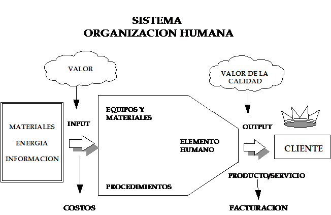 Sistema Organización Humana